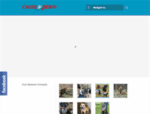 Tablet Screenshot of causeforpawsohio.com